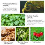 ⁦كريم معالجة علامات التمدد من العلامة التجارية Vibrant Glamour⁩ - الصورة ⁦8⁩