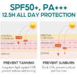 ⁦واقي الشمس للتبييض مفعم بالحيوية مع عامل حماية من الشمس SPF50+ UVA/UVB - 50 جم من فايبرنت جلامور⁩ - الصورة ⁦5⁩