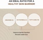 ⁦أمبولة سيروم مدغشقر سينتيلا بروبيو-سيكا المكثف من سكين1004 تقوية بشرة الوجه الجافة والحساسة والمتهيجة 95 مل⁩ - الصورة ⁦5⁩