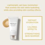 ⁦سكين1004 كريم مدغشقر سينتيلا مهدئ للبشرة - 30مل⁩ - الصورة ⁦2⁩