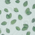 ⁦شامبو كوندال المنعش لفروة الرأس 500 مل -   بالنعناع المائي⁩ - الصورة ⁦2⁩