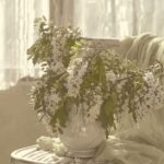 ⁦كوندال مكاداميا مصل الشعر الفائق 100 مل -  بلاك بيري باي⁩ - الصورة ⁦2⁩